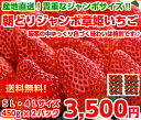 【送料無料】【いちご】【日にち指定不可】厳寒の中ゆっくり色づく味わいは格別!大粒