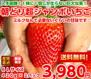 【送料無料】【いちご】【日にち指定不可】入手困難!一株に1個しかならない巨大な実6