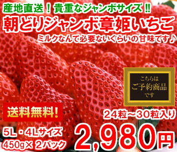 1月末頃からの発送商品です！ミルクなんていらない甘〜い大粒いちご♪4L〜5Lサイズ章姫いちご450g×2パックいちご・送料無料・章姫苺