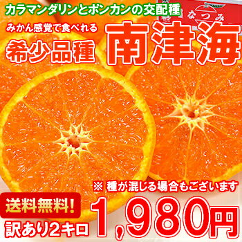 【送料無料】【訳あり】カラマンダリンとポンカンの交配種！希少...