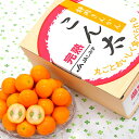 【送料無料】平均糖度20度以上！まるで砂糖菓子を食べているよ...