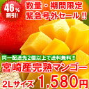 完全赤字覚悟！収穫最大ピークで46％OFF！憧れの宮崎マンゴーを食べるならこの瞬間です♪宮崎県産完熟マンゴー2Lサイズ×1玉同一配送先2個以上で送料無料・宮崎マンゴー