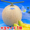 お中元 ギフト メロン フルーツギフト生産地ならではのこだわりメロン大玉静岡温室メ
