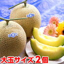 お中元 ギフト メロン フルーツギフト生産地ならではのこだわりメロン大玉静岡温室メ