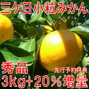 上位15％しか合格しない秀品を厳選！これがうわさの！三ケ日小粒みかんSサイズ3kg+20%増量（先行予約特典）送料無料・みかん・三ケ日みかん