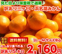 【送料無料】【訳あり】見た目は良くありませんが味は
