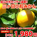 【送料無料】【光センサー選果】【小粒】上位15%し