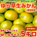 送料無料 みかん ゆら早生みかんフレッシ...