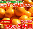 見た目は良くありませんが味は抜群です♪訳あり三ヶ日・浜名湖み...