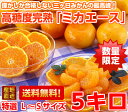 送料無料 三ヶ日みかん みかん 数量限定三ヶ日農協の最高級ブランド超高糖度完熟三ヶ