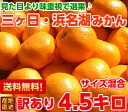 見た目は良くありませんが味は抜群です♪訳あり三ヶ日・浜名湖み...