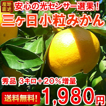 上位15％しか合格しない秀品を厳選！これがうわさの!三ヶ日みかん（小粒）Sサイズ3kg+20%増量送料無料・みかん・三ヶ日みかん