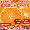 【あす楽対応】【送料無料】【訳あり】ひと味違う濃厚