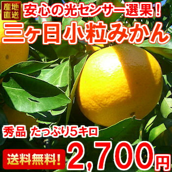 上位15％しか合格しない秀品を厳選！三ヶ日みかんSサイズ たっぷり5kg送料無料・三ヶ日みかん・Sサイズ