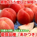 【送料無料】【光センサー選果】【糖度保障】糖度13.5度以上...