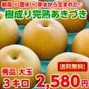 【送料無料】安心の光センサー選果新高×豊水×幸水か