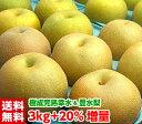 ハイテク光センサー選果で糖度保障!贅沢な2大赤梨の食べ比べ♪...