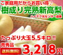 【送料無料】【ご家庭用】笑激の大きさ!!しかも大きいだけでなく甘い果汁たっぷり♪ご家庭用だからお買い得!樹成り完熟新高梨 たっぷり5.5kg【北海道、沖縄、一部... ランキングお取り寄せ