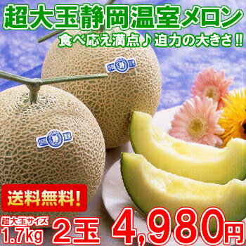 yzyMtgzyzYnȂł͂̂胁ʐÉ1.7kg~2ʁykCAA͕ʓr300~zyyMt_̂zyyMt_̂z