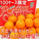 大玉が大量に収穫されているため緊急号外セールを開催します!!20ケース緊急追加販売！完熟大玉今津ポンカン秀品3kg+50％増量送料無料・ぽんかん