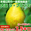 送料無料 ラフランス 洋梨 フルーツギフ...