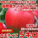 送料無料 サンふじ りんご光センサー選果でなんと17度保障!...