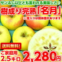 【送料無料】【入手困難】サンふじ以上とも言われる美味しさ♪樹...