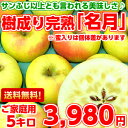 【送料無料】【入手困難】サンふじ以上とも言われる美味しさ♪樹...