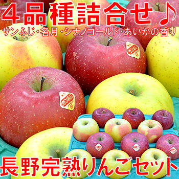 りんご好きなら見逃せない4品種混合!!（サンふじ・名月・シナノゴールド・あいかの香り）長野産完熟りんご食べ比べセット　中玉4kg送料無料・りんご・今年は生育の都合で「中玉サイズ」となります。