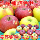 【送料無料】【数量限定】【ご家庭用】りんご好きなら見逃せない...