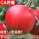 現在の受付で4月のお届けです【送料無料】【CA貯蔵で鮮度抜群...