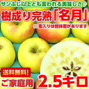 送料無料 ぐんま名月 りんご フルーツギフトサンふじ以上とも言われる美味しさ♪樹成り