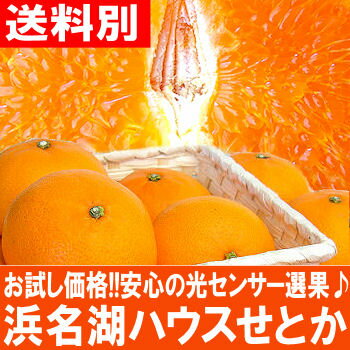 【送料別】【お試し価格】【ハウス栽培】ついに登場♪安心の光セ...