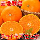 愛媛産チョイキズせとか3kg至高の柑橘と呼ばれる「せとか」はまさに5つ星の味わいです♪送料無料　訳あり　せとか