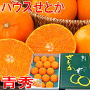 まさに5つ星の味わい♪至高の柑橘！ハウスせとか 青秀約3kg送料無料・ハウス栽培・せとか
