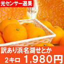 2年ぶりに復活！安心の光センサー選果！技術が高いみかん王国「静岡」で作られた訳あり浜名湖せとか約2kg送料無料・訳あり・せとか