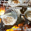 天然 活 隠岐サザエ 指定なし(M/L) 1.5kg 12〜19個 島根県隠岐の島産 (体量:70〜130g、殻高:約6〜10cm) 7月上旬〜4月下旬 送料無料