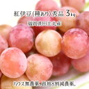 紅伊豆 秀品 3kg 種あり葡萄 ハウス無農薬 路地8割減農薬 無化学肥料栽培 6~8房 福岡県田主丸産 ブドウ 7月下旬~9月上旬 送料無料