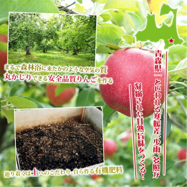りんご100%ストレートジュース 青森県南部産 (農薬:期中2回、化学肥料:不使用、樹上完熟サンふじ70% 紅玉30%使用) 1000ml×2本 送料無料