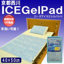 【レビュー記入で送料無料】京都西川のアイスジェルパッド まくらパッド 冷感 ジェル 40×50cm(敷きパット) 冷却マット ひんやりマット ジェルマット 枕カバー 洗える枕パッド 【RCP】10P06jul13【マラソン201307_送料無料】10P04Aug1305P01Sep13