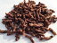 プライムケイズ 手作りごはんの具 馬肉 30g【95】