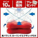 エクササイズとストレッチを同時に! 美バランス ローリングエクサレッチDX 【ポイント10倍・送料無料・プレゼント付】 骨盤周りに効果的♪ 10P04Aug13