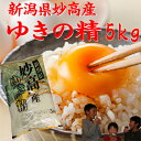 新潟県 妙高産ゆきの精 5kg「28年産 一等米」 新米