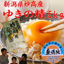 新潟妙高産「一等米」ゆきの精 5kg「28年産 無洗米」