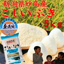 無洗米 新潟県 妙高産 こしいぶき5kg「29年産 無洗米」新米
