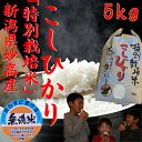【無洗米】スーパーコシヒカリ5kg【特A】新潟県 妙高産【高級米】【特別栽培米】