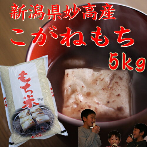 新潟県こがねもち5kg（餅米）「28年産　一等米」新米　美味しいお米(もち米です） ランキングお取り寄せ