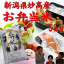 【お弁当米5kg】【新潟県妙高産】「28年産 新米」
