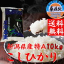 ◇産地直送◇【送料無料】コシヒカリゴールド 10kg【新潟コ...