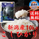 30年産 新米◇産地直送◇【送料無料】コシヒカリ10kg【新...